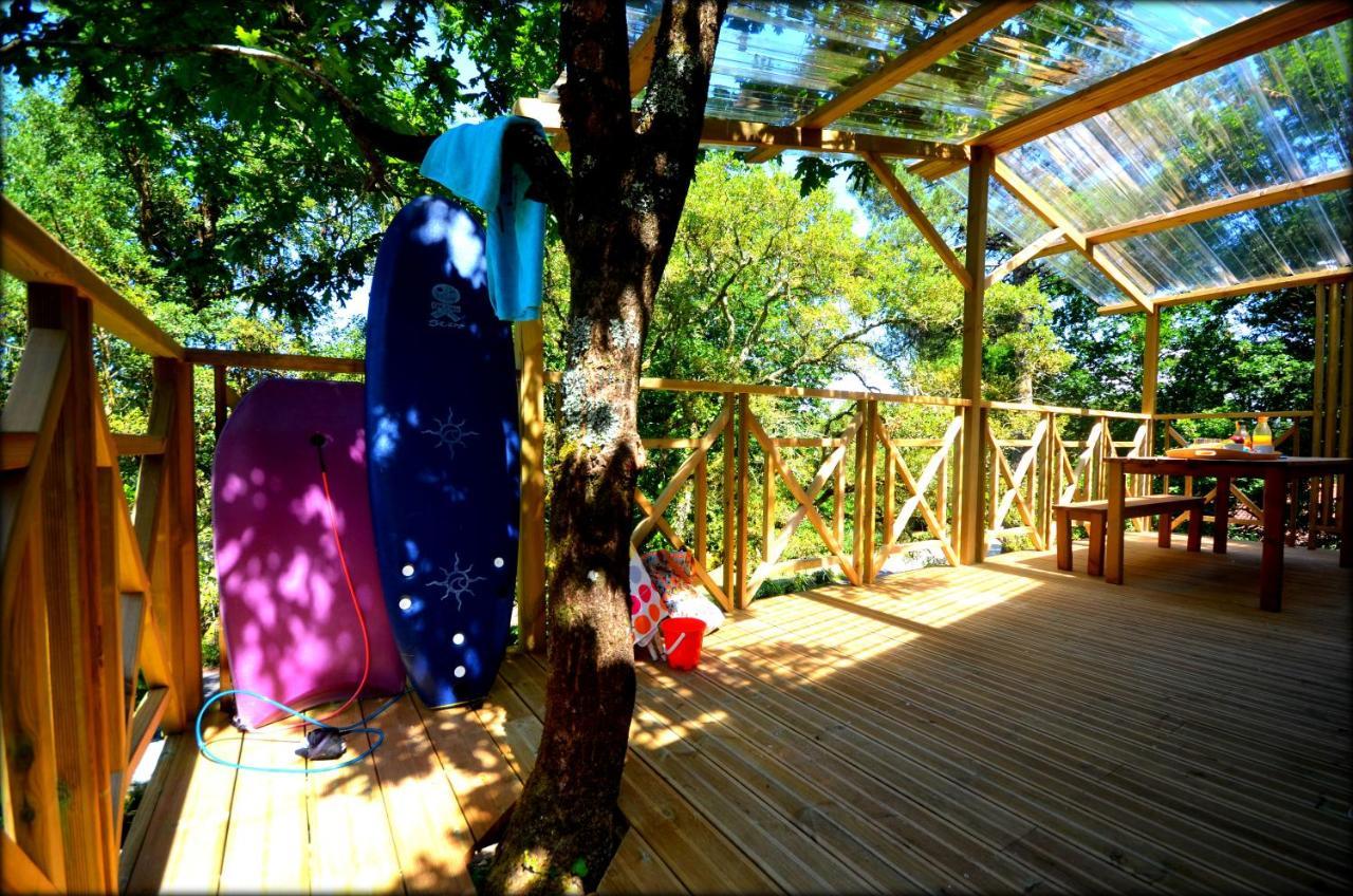 Village Nature Et Ocean A Cote De La Plage Avec Piscine Et Jacuzzi Messanges  Ngoại thất bức ảnh