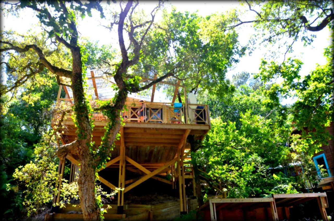 Village Nature Et Ocean A Cote De La Plage Avec Piscine Et Jacuzzi Messanges  Ngoại thất bức ảnh