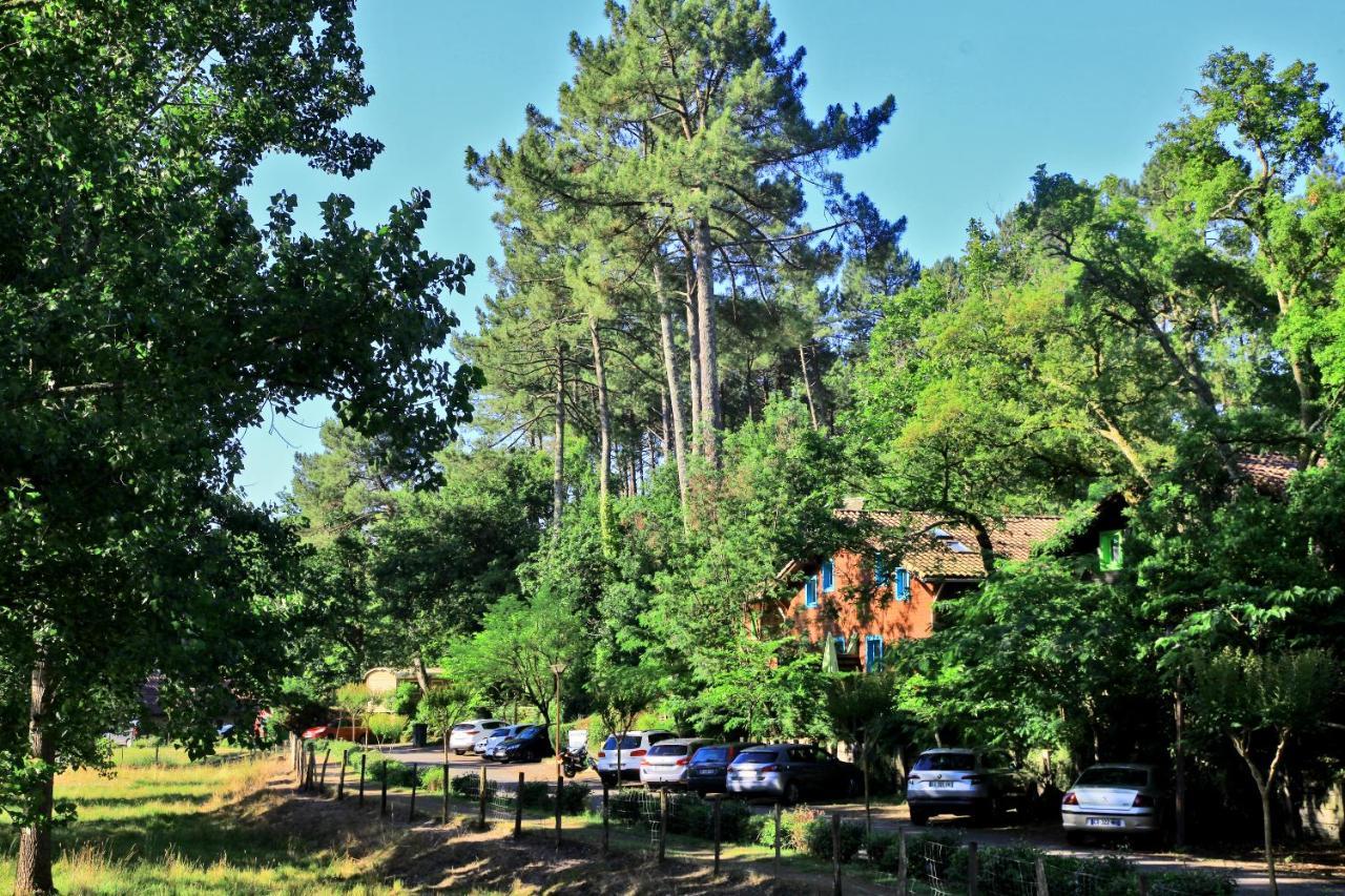 Village Nature Et Ocean A Cote De La Plage Avec Piscine Et Jacuzzi Messanges  Ngoại thất bức ảnh