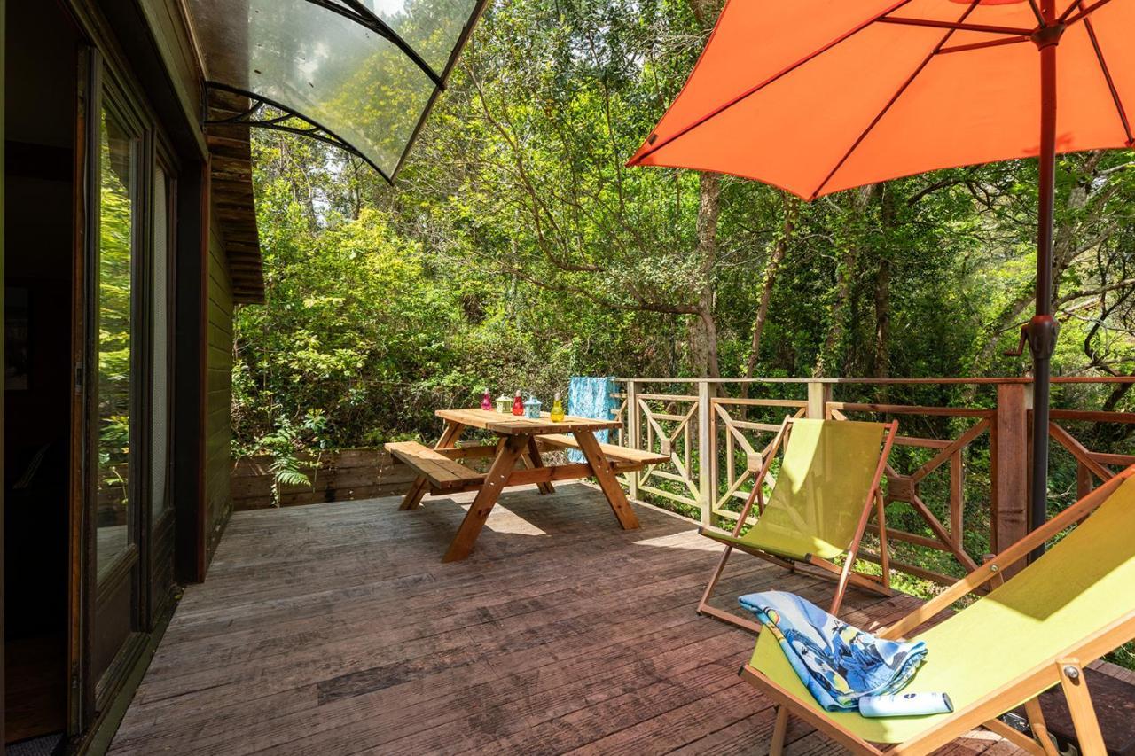 Village Nature Et Ocean A Cote De La Plage Avec Piscine Et Jacuzzi Messanges  Ngoại thất bức ảnh